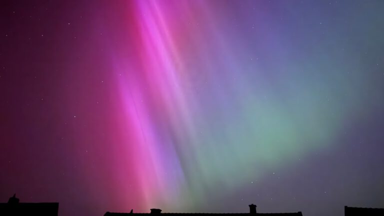 MicrosoftTeams-image - 2024-05-15T055411.656