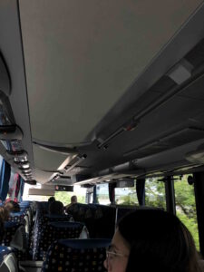 Image (1)