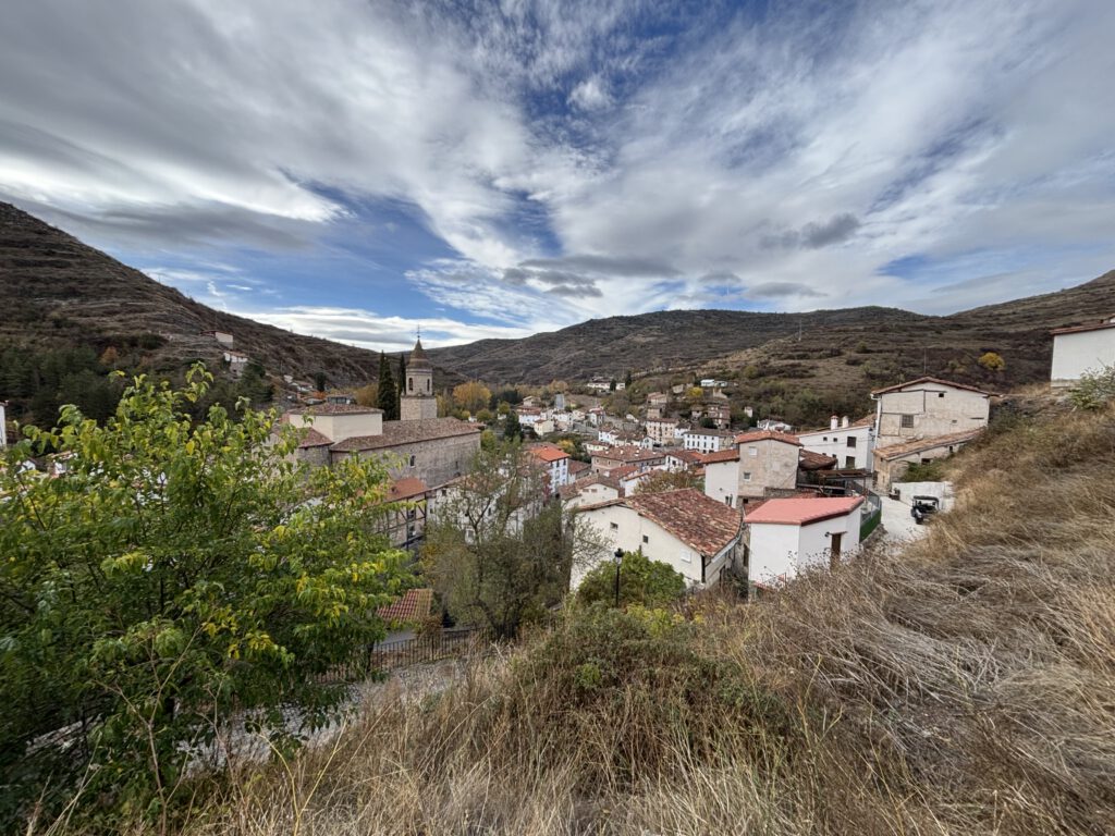 Image (7)